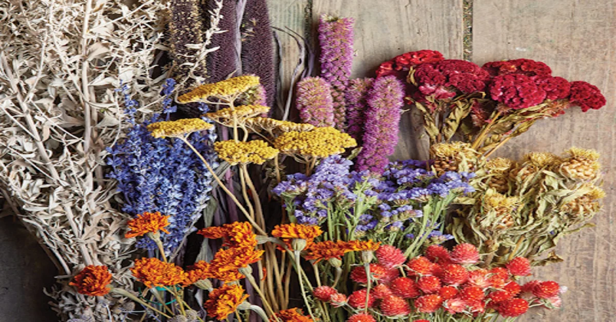 Dried Flowers