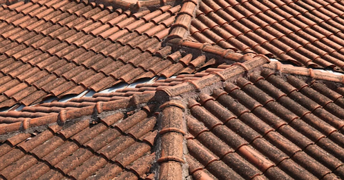 Roof Pressure Washing
