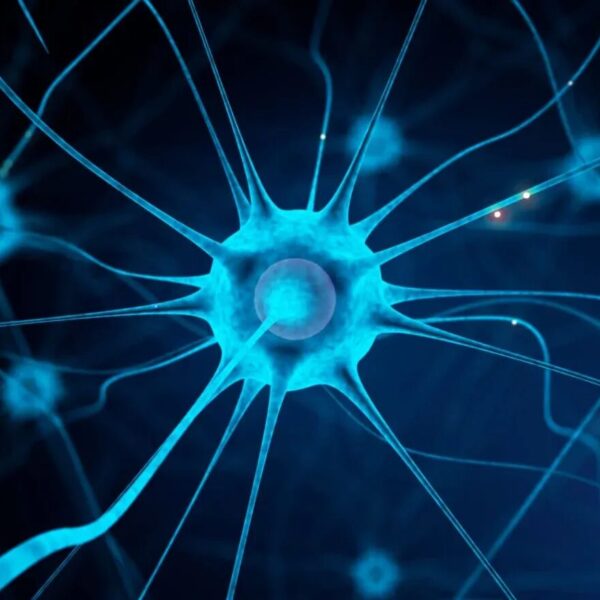 Why Is ICP-MS Critical For Nanomaterial Characterization?