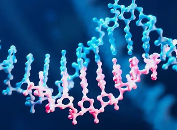 What Is the Link Between Lipophilicity And LogP?