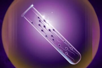 Semen Testing
