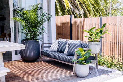 Guide to Styling Your Garden and Home with Grey Planters
